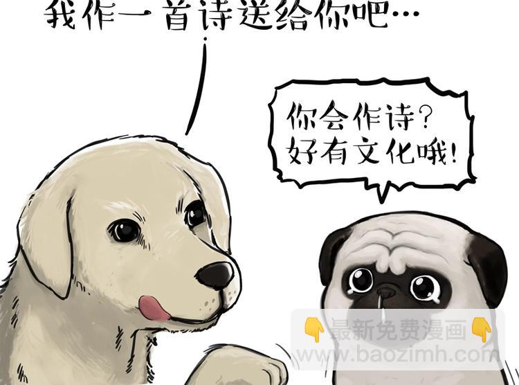 🍘吾皇巴扎黑 第198话 你爱世界，但我爱你 第13页