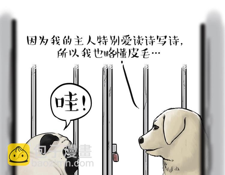 🍘吾皇巴扎黑 第198话 你爱世界，但我爱你 第14页