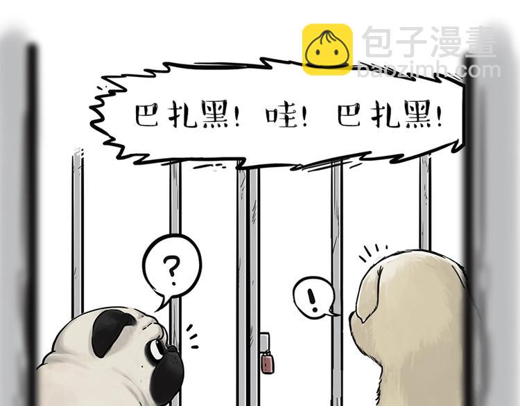 🍘吾皇巴扎黑 第198话 你爱世界，但我爱你 第18页