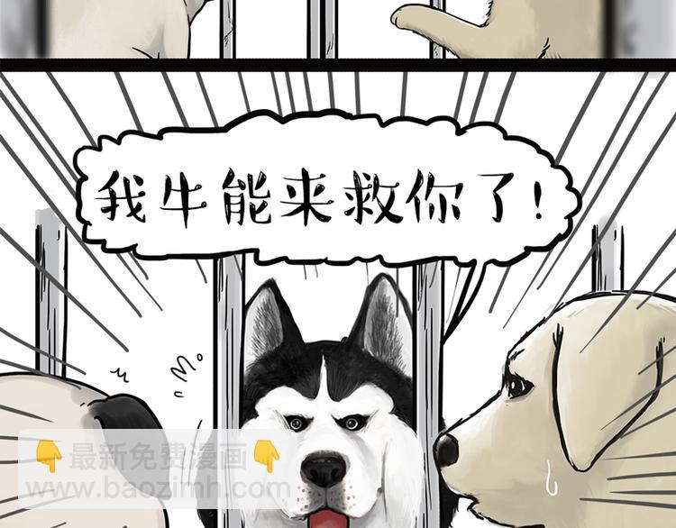 🍘吾皇巴扎黑 第198话 你爱世界，但我爱你 第19页