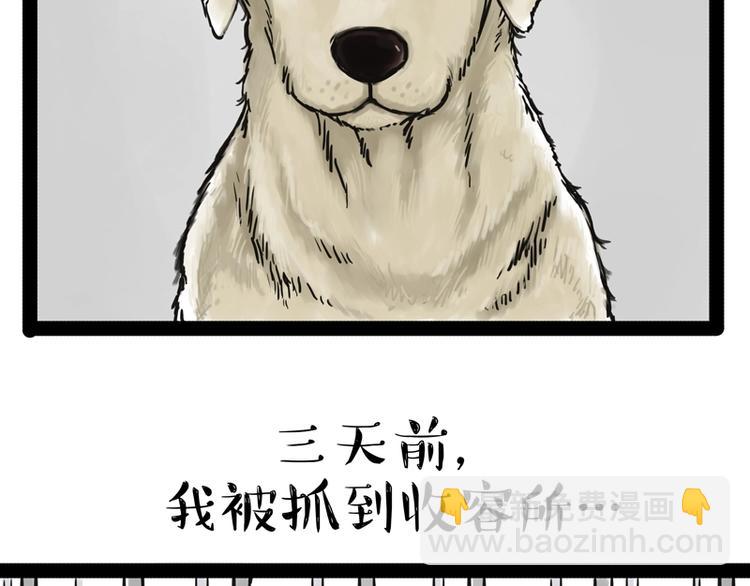 🍘吾皇巴扎黑 第198话 你爱世界，但我爱你 第2页
