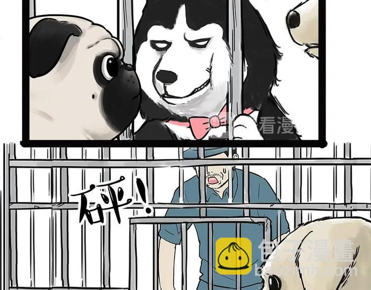 🍘吾皇巴扎黑 第198话 你爱世界，但我爱你 第21页