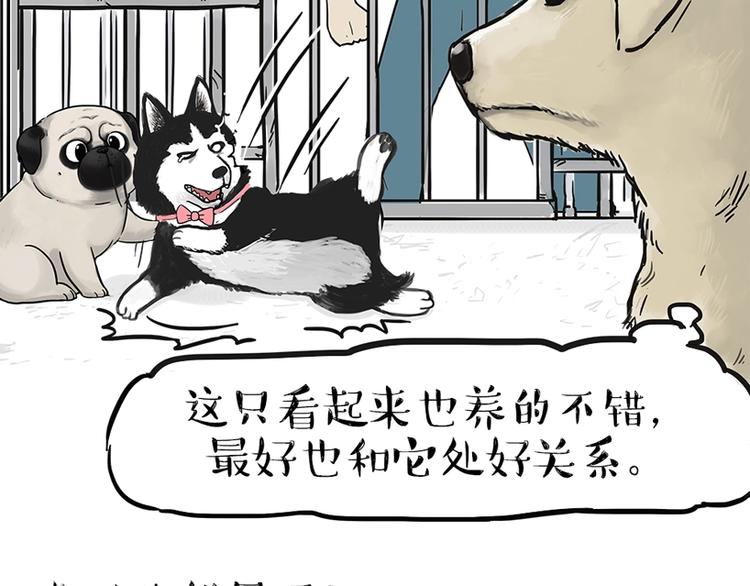🍘吾皇巴扎黑 第198话 你爱世界，但我爱你 第22页