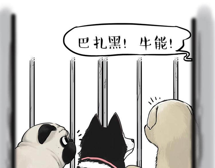 🍘吾皇巴扎黑 第198话 你爱世界，但我爱你 第27页
