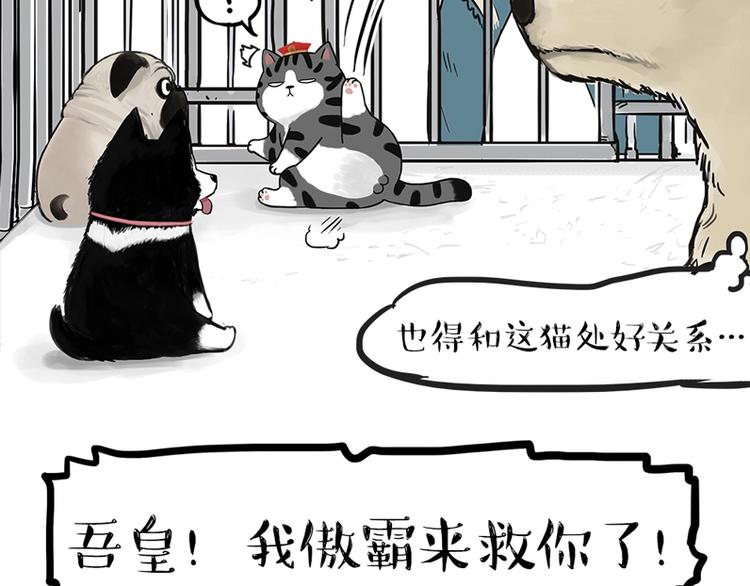 🍘吾皇巴扎黑 第198话 你爱世界，但我爱你 第31页