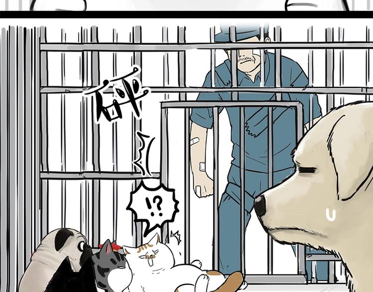 🍘吾皇巴扎黑 第198话 你爱世界，但我爱你 第33页