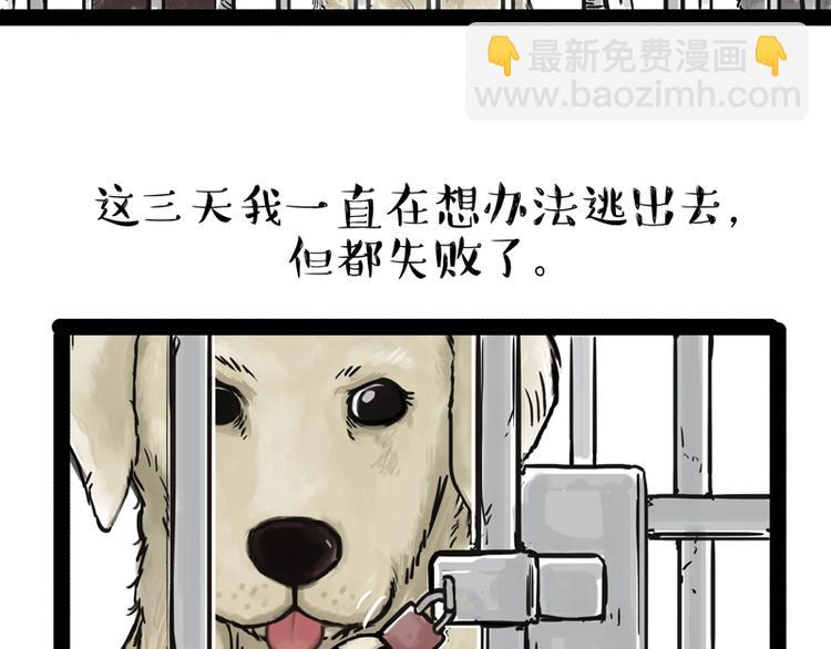 🍘吾皇巴扎黑 第198话 你爱世界，但我爱你 第4页