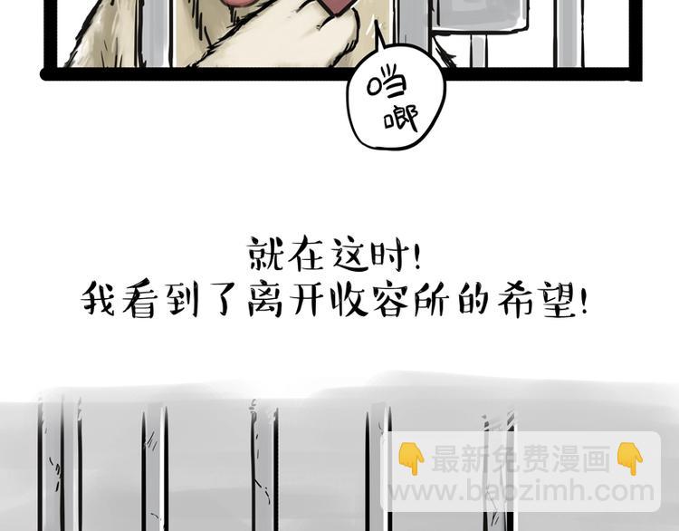 🍘吾皇巴扎黑 第198话 你爱世界，但我爱你 第5页