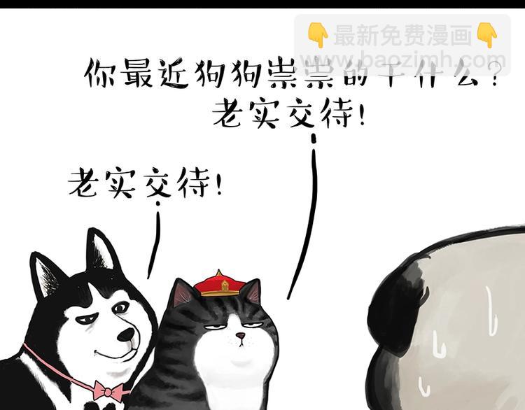 🍘吾皇巴扎黑 第200话 可疑！ 第17页