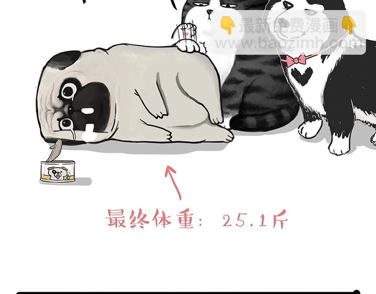 🍘吾皇巴扎黑 第200话 可疑！ 第29页