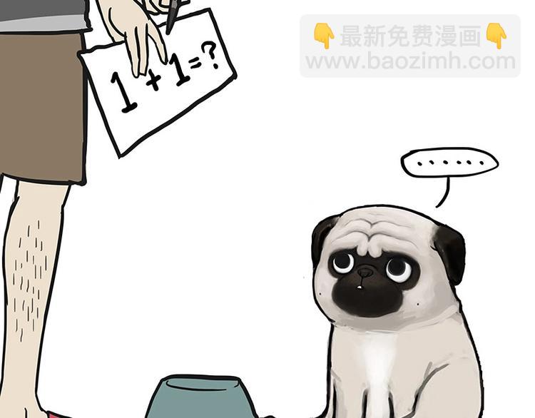 🍘吾皇巴扎黑 第200话 可疑！ 第39页