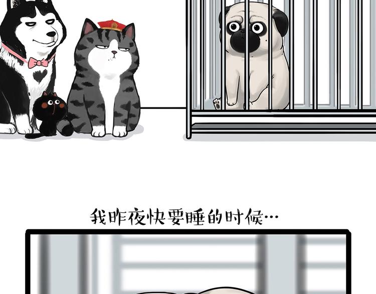 🍘吾皇巴扎黑 第202话 谁动了吾皇的猫粮 第15页