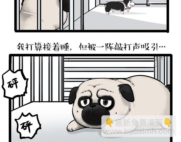 🍘吾皇巴扎黑 第202话 谁动了吾皇的猫粮 第18页