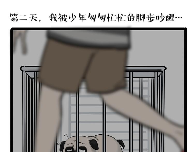 🍘吾皇巴扎黑 第202话 谁动了吾皇的猫粮 第22页