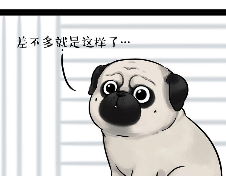 🍘吾皇巴扎黑 第202话 谁动了吾皇的猫粮 第25页