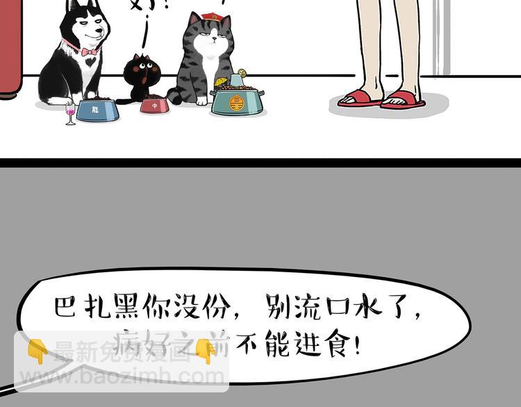 🍘吾皇巴扎黑 第202话 谁动了吾皇的猫粮 第3页