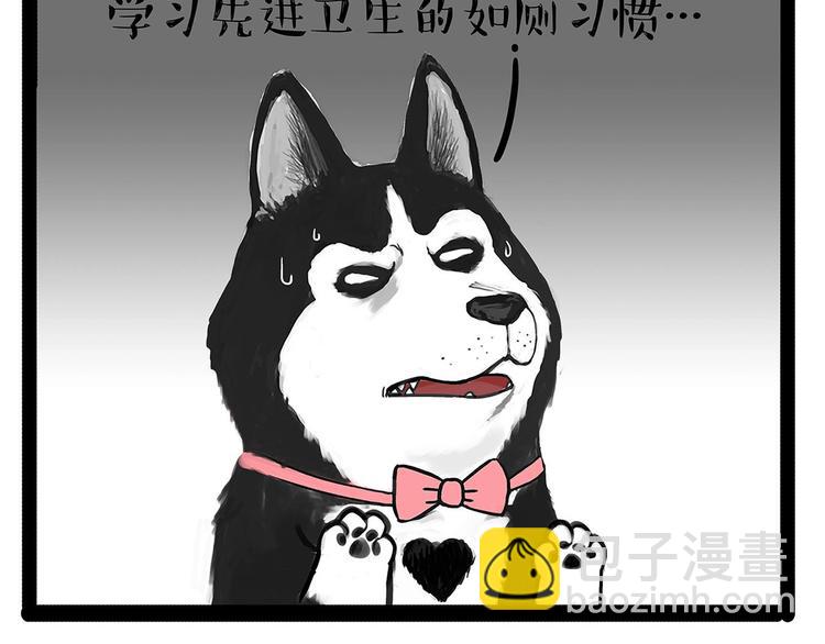 🍘吾皇巴扎黑 第202话 谁动了吾皇的猫粮 第35页
