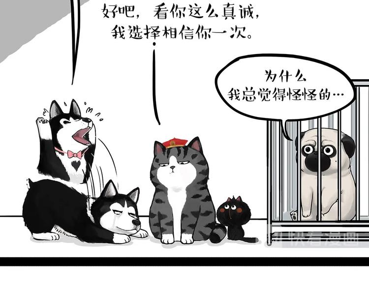 🍘吾皇巴扎黑 第202话 谁动了吾皇的猫粮 第38页