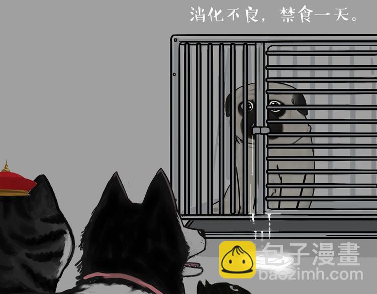 🍘吾皇巴扎黑 第202话 谁动了吾皇的猫粮 第4页