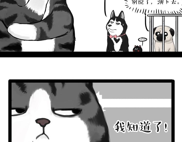 🍘吾皇巴扎黑 第202话 谁动了吾皇的猫粮 第40页