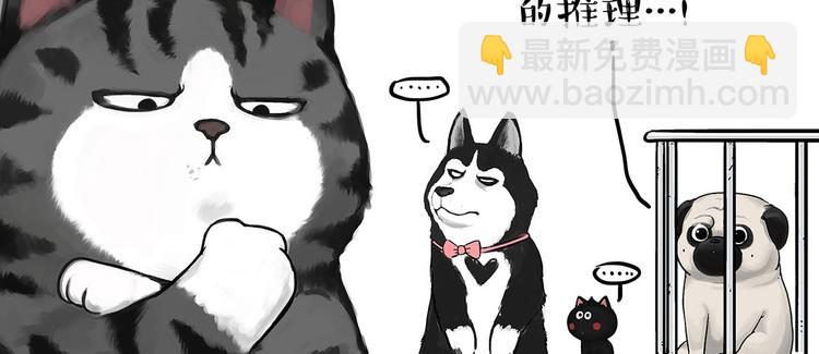 🍘吾皇巴扎黑 第202话 谁动了吾皇的猫粮 第43页