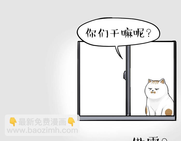 🍘吾皇巴扎黑 第202话 谁动了吾皇的猫粮 第44页