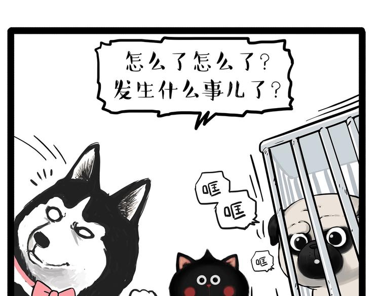 🍘吾皇巴扎黑 第202话 谁动了吾皇的猫粮 第8页