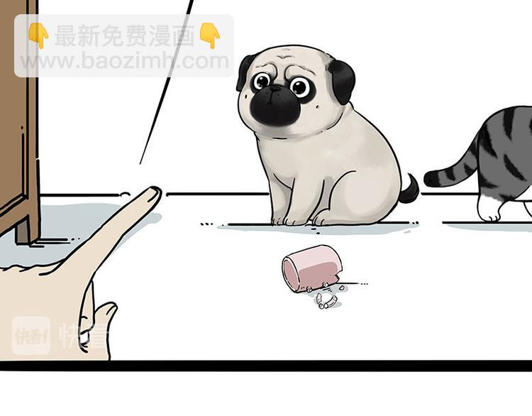 🍘吾皇巴扎黑 第210话 巴扎黑是最委屈的狗 第11页