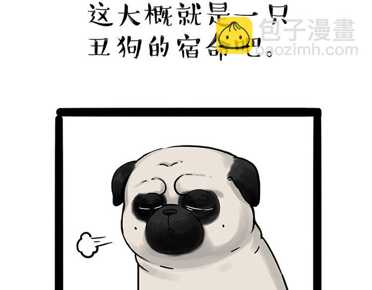 🍘吾皇巴扎黑 第210话 巴扎黑是最委屈的狗 第17页