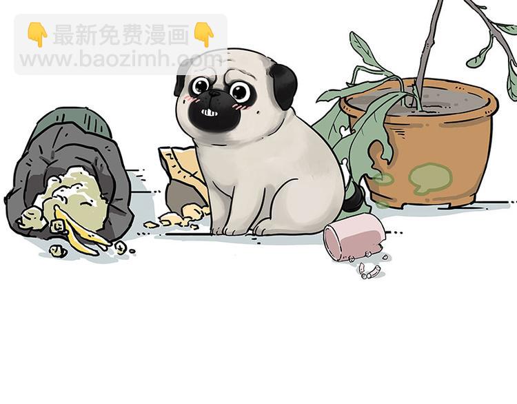 🍘吾皇巴扎黑 第210话 巴扎黑是最委屈的狗 第20页