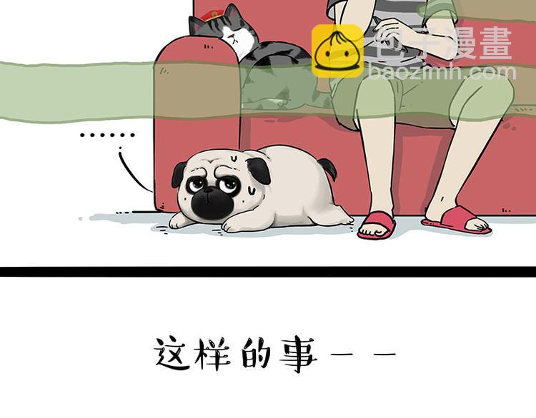🍘吾皇巴扎黑 第210话 巴扎黑是最委屈的狗 第5页