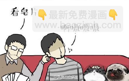 🍘吾皇巴扎黑 第22话 全民CP时代！ 第12页