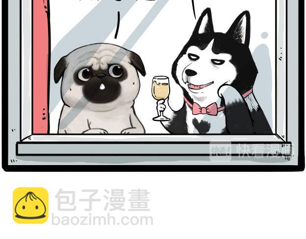 🍘吾皇巴扎黑 第212话 万能爹和“狗”生 第15页