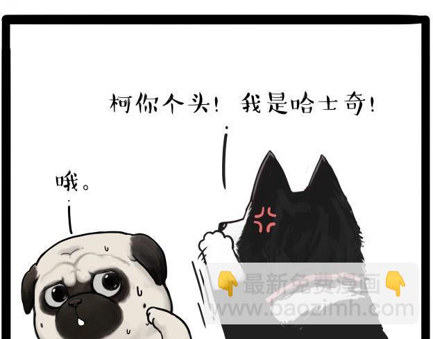 🍘吾皇巴扎黑 第212话 万能爹和“狗”生 第16页