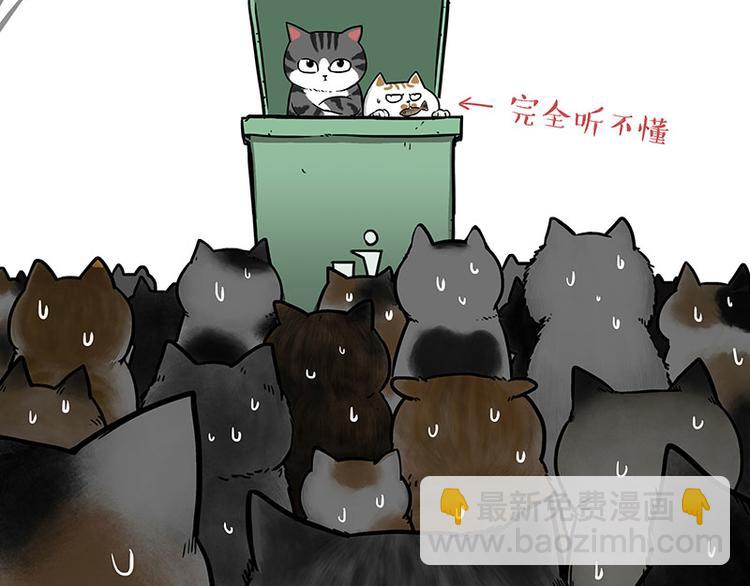 🍘吾皇巴扎黑 第214话 脱线穿越（下） 第33页