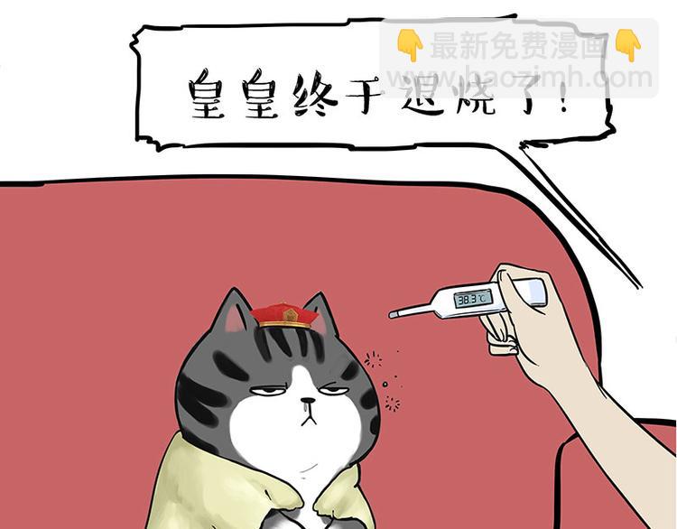 🍘吾皇巴扎黑 第214话 脱线穿越（下） 第50页