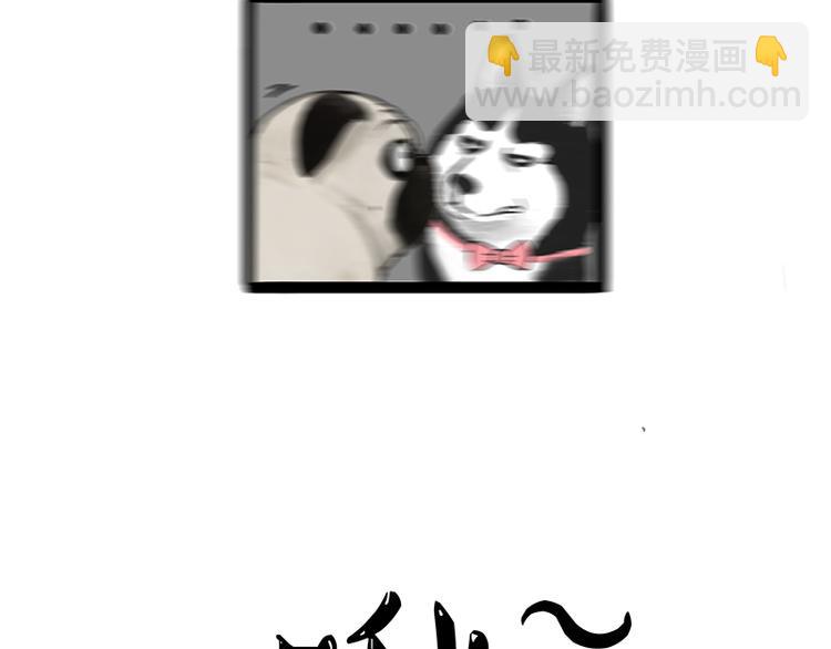 🍘吾皇巴扎黑 第218话 你不配有爱情 第11页