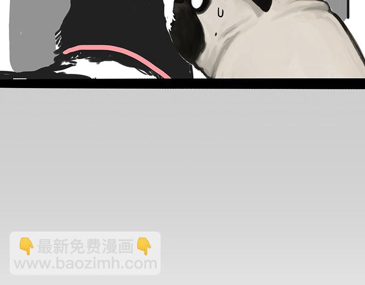 🍘吾皇巴扎黑 第218话 你不配有爱情 第13页