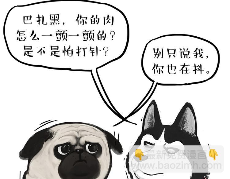 🍘吾皇巴扎黑 第218话 你不配有爱情 第3页