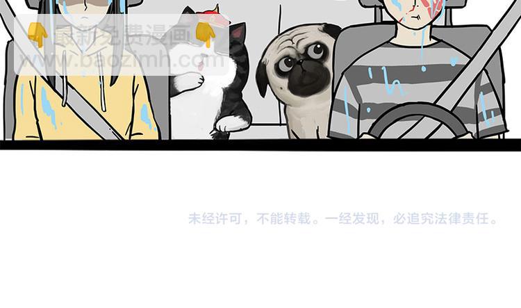 🍘吾皇巴扎黑 第218话 你不配有爱情 第37页