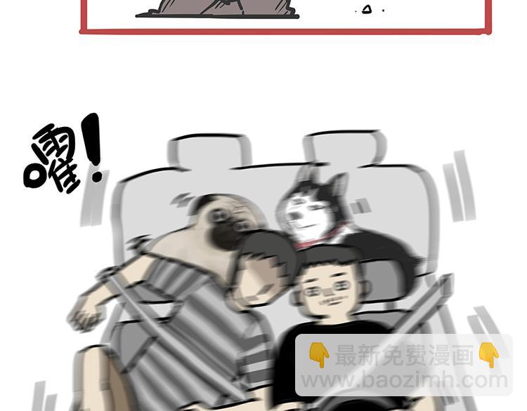 🍘吾皇巴扎黑 第218话 你不配有爱情 第9页