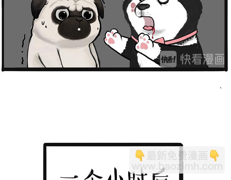 🍘吾皇巴扎黑 第220话 拆家没怕过谁 第10页