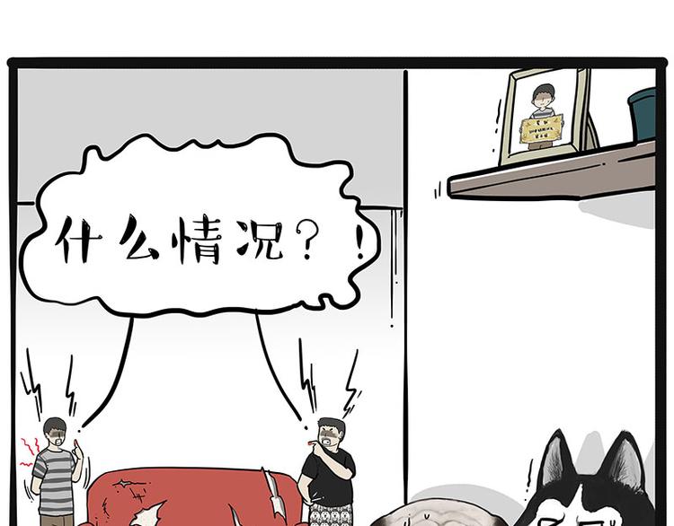 🍘吾皇巴扎黑 第220话 拆家没怕过谁 第17页