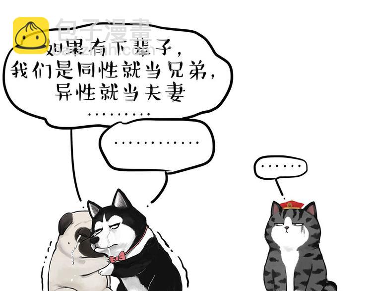 🍘吾皇巴扎黑 第220话 拆家没怕过谁 第27页