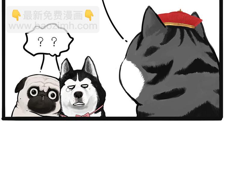 🍘吾皇巴扎黑 第220话 拆家没怕过谁 第29页
