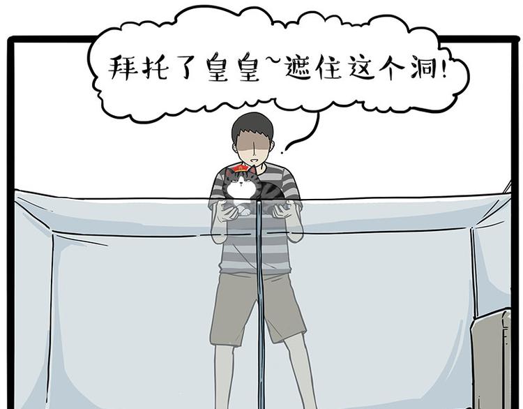 🍘吾皇巴扎黑 第224话 吾皇驱蚊大法 第13页