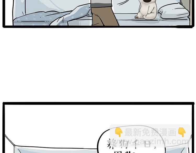 🍘吾皇巴扎黑 第224话 吾皇驱蚊大法 第5页
