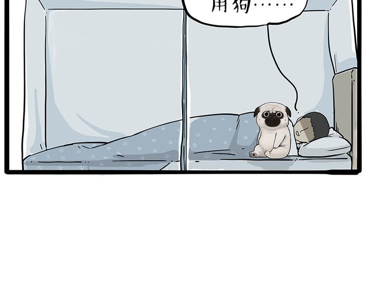 🍘吾皇巴扎黑 第224话 吾皇驱蚊大法 第6页