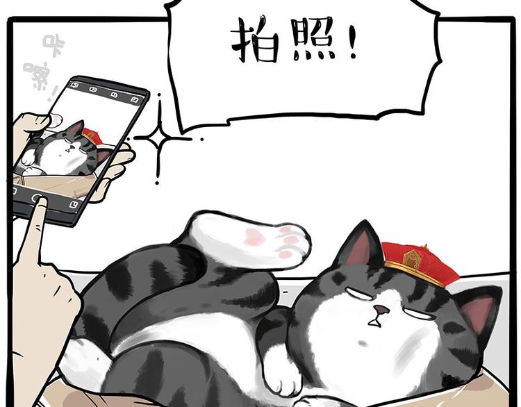 🍘吾皇巴扎黑 第226话 表情帝 第31页