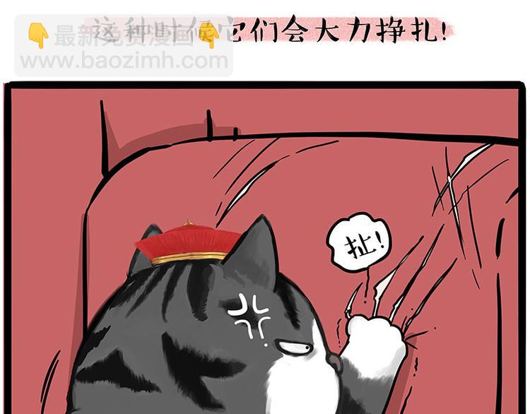 🍘吾皇巴扎黑 第226话 表情帝 第5页